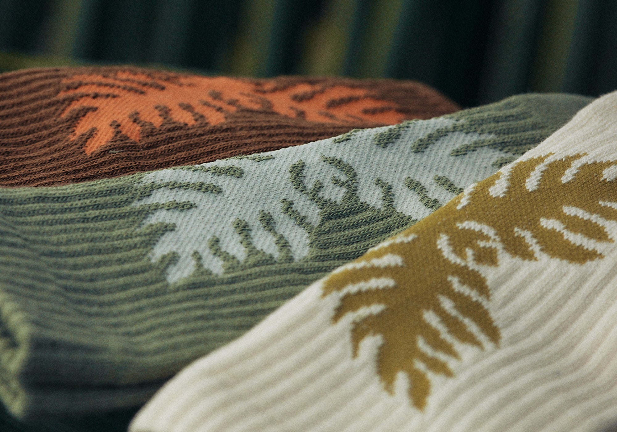 Accessories Collection Launch