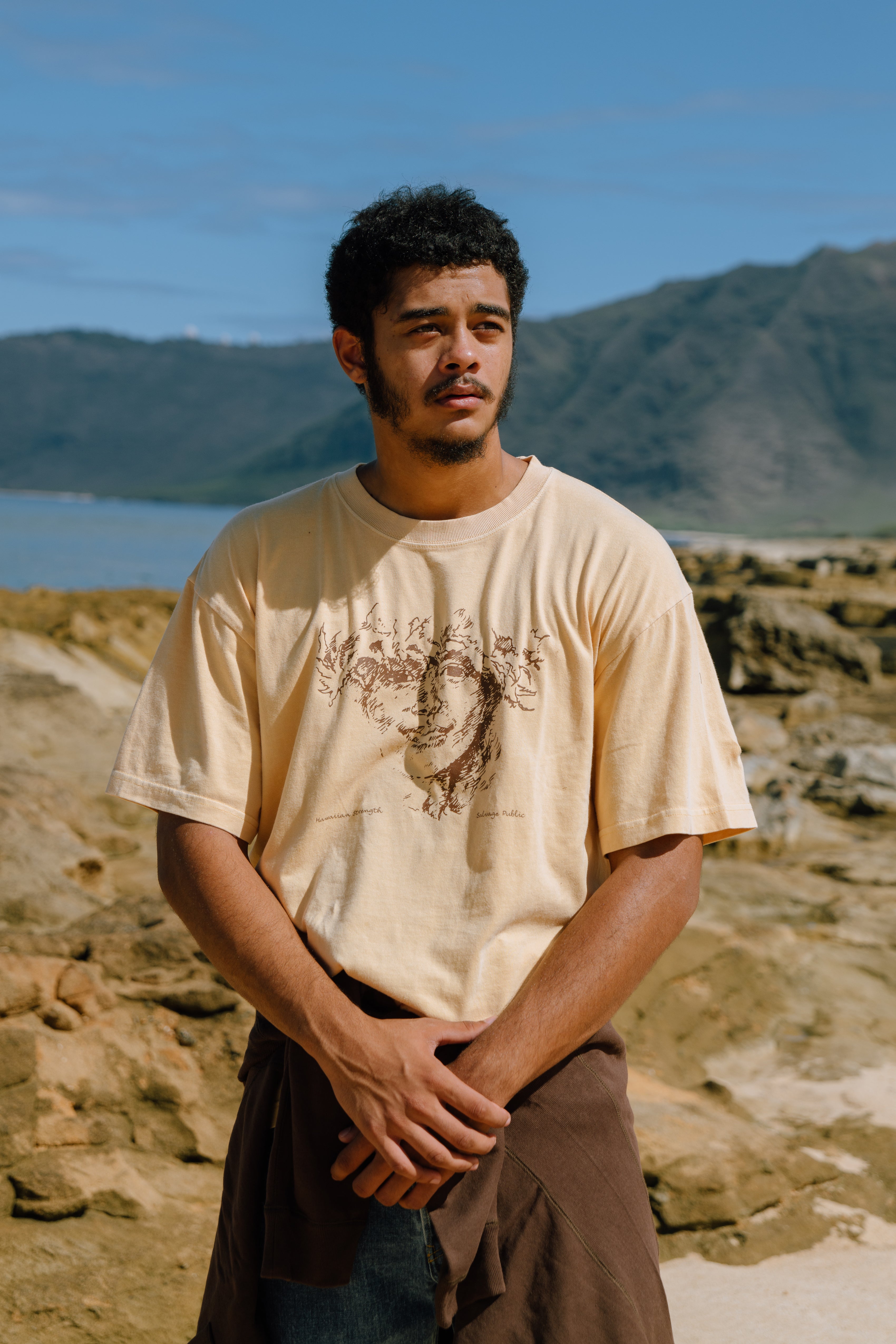 Image de diapositive