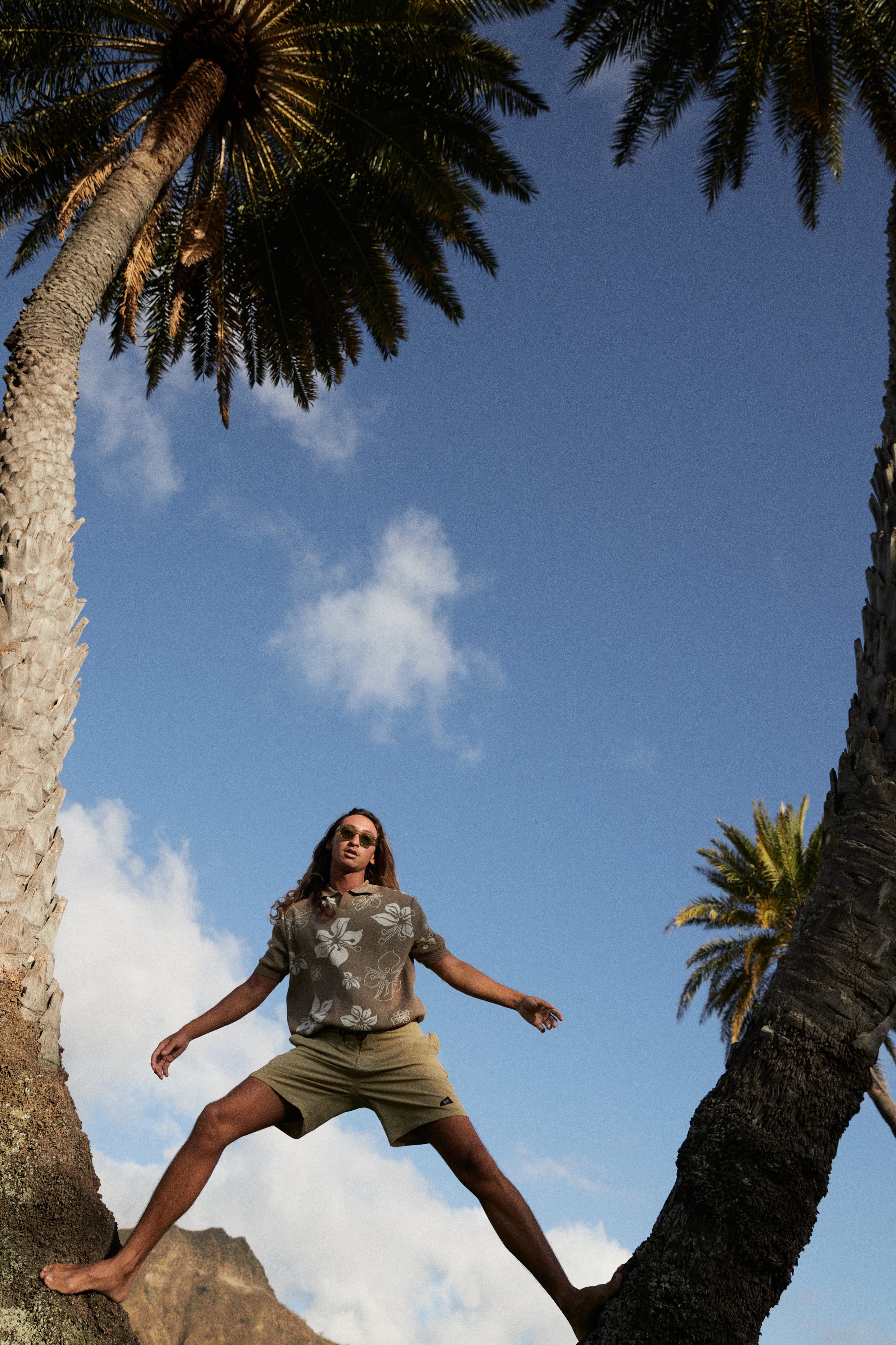 Image de diapositive