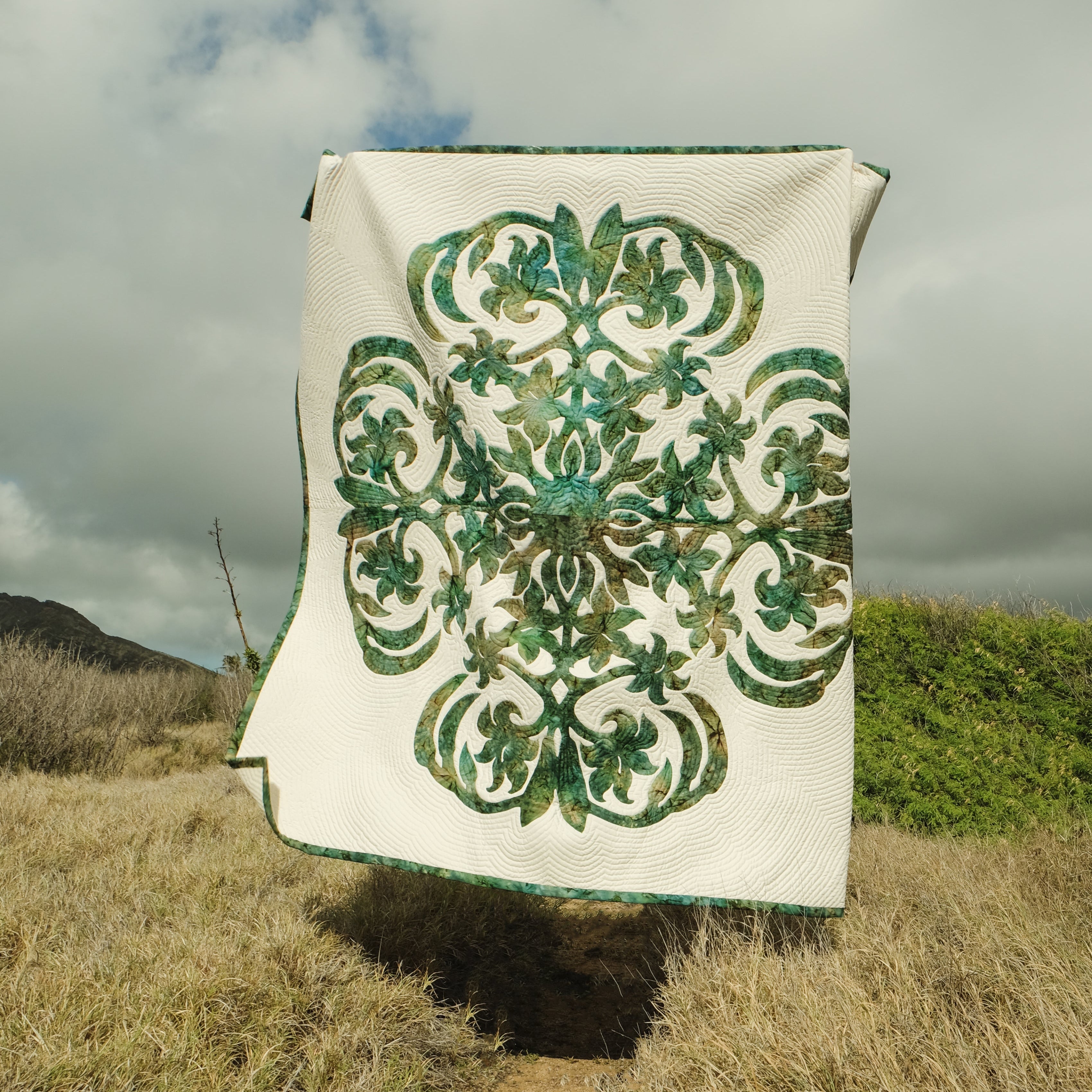 Immagine diapositiva