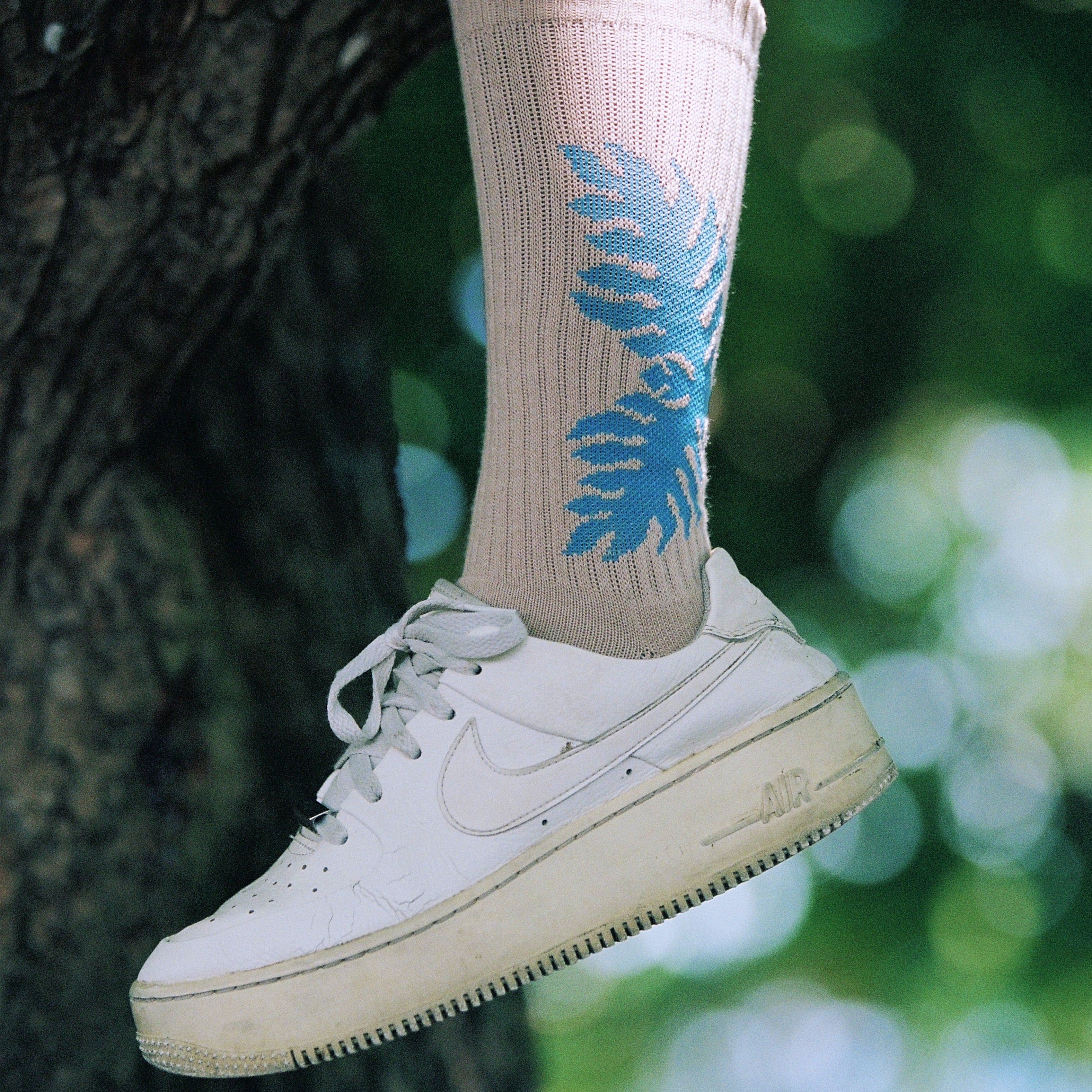 Immagine diapositiva