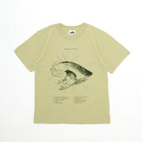 Oceanic T-Shirt in Sage