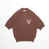 The Best Polo Knit in Brown